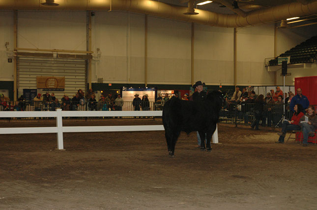 NEBRASKA Cattlemens Classic 2012 (48)
