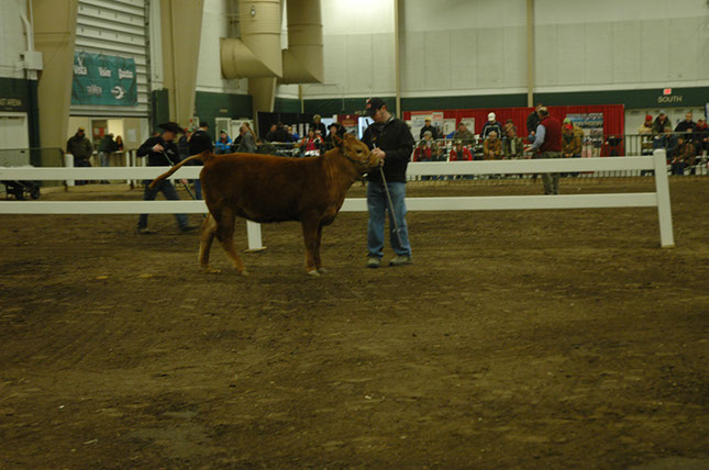 NEBRASKA Cattlemens Classic 2012 (31)