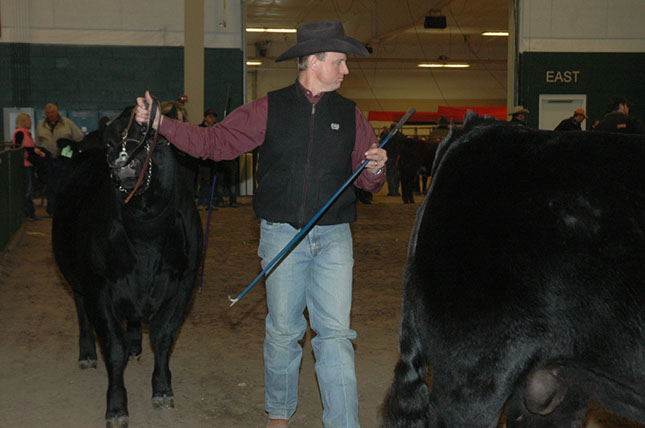 NEBRASKA Cattlemens Classic 2012 (51)