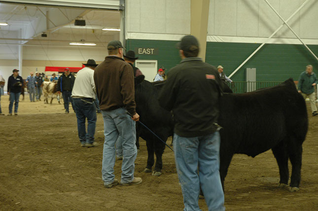 NEBRASKA Cattlemens Classic 2012 (35)