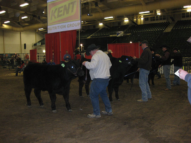 Nebr. Cattlemens Classic 2012 (22)