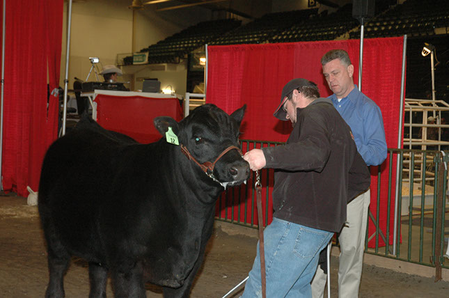 NEBRASKA Cattlemens Classic 2012 (53)