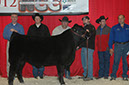 NEBRASKA Cattlemens Classic 2012 (59)