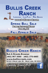 Grass Roots Limousin Sale